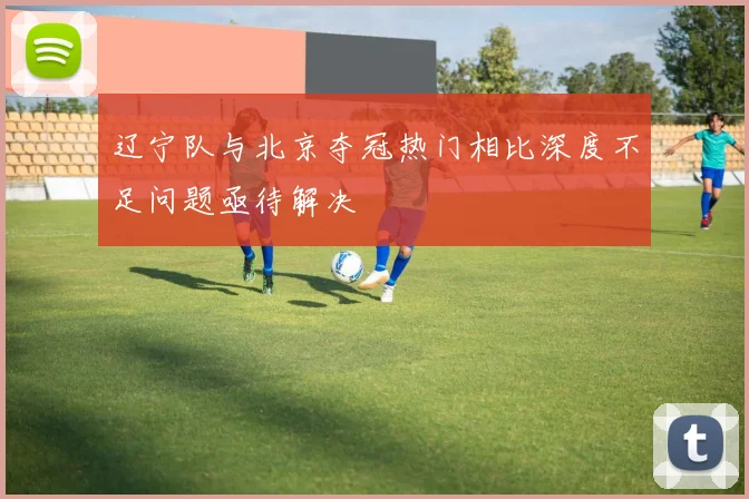 辽宁队与北京夺冠热门相比深度不足问题亟待解决